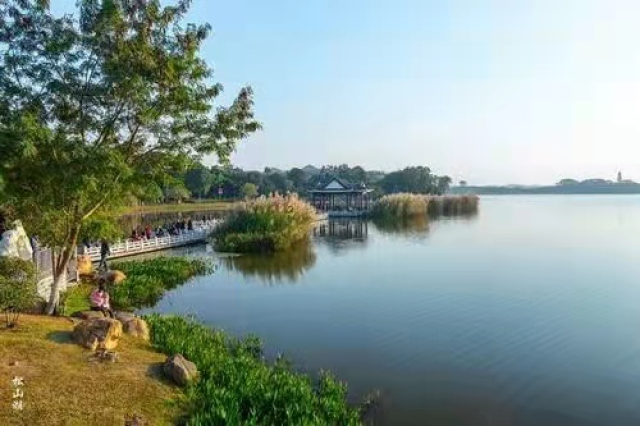 春季松山湖踏青赏花,吃东莞特色美食烧鹅濑粉!