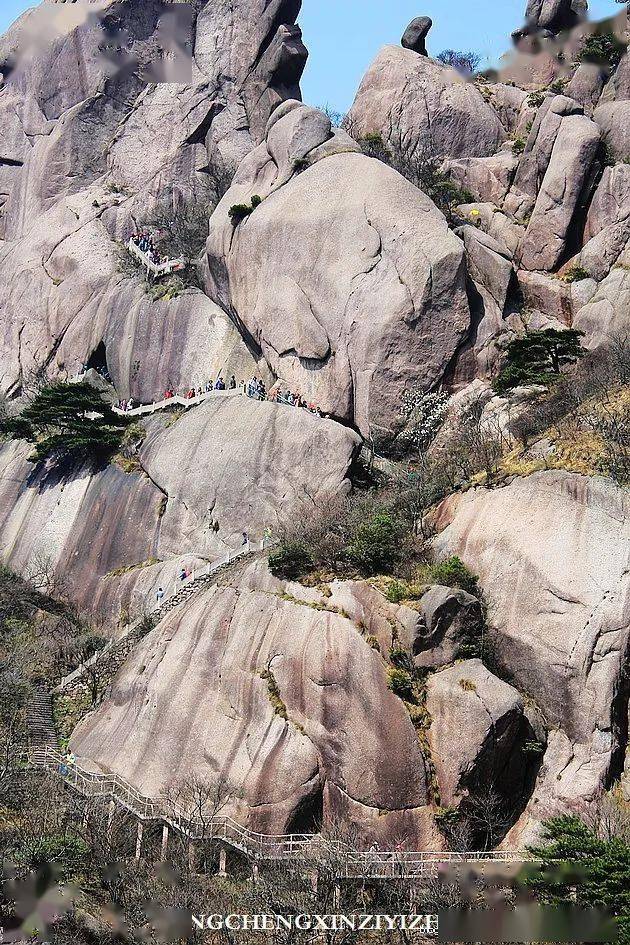 春游江南8醉黄山