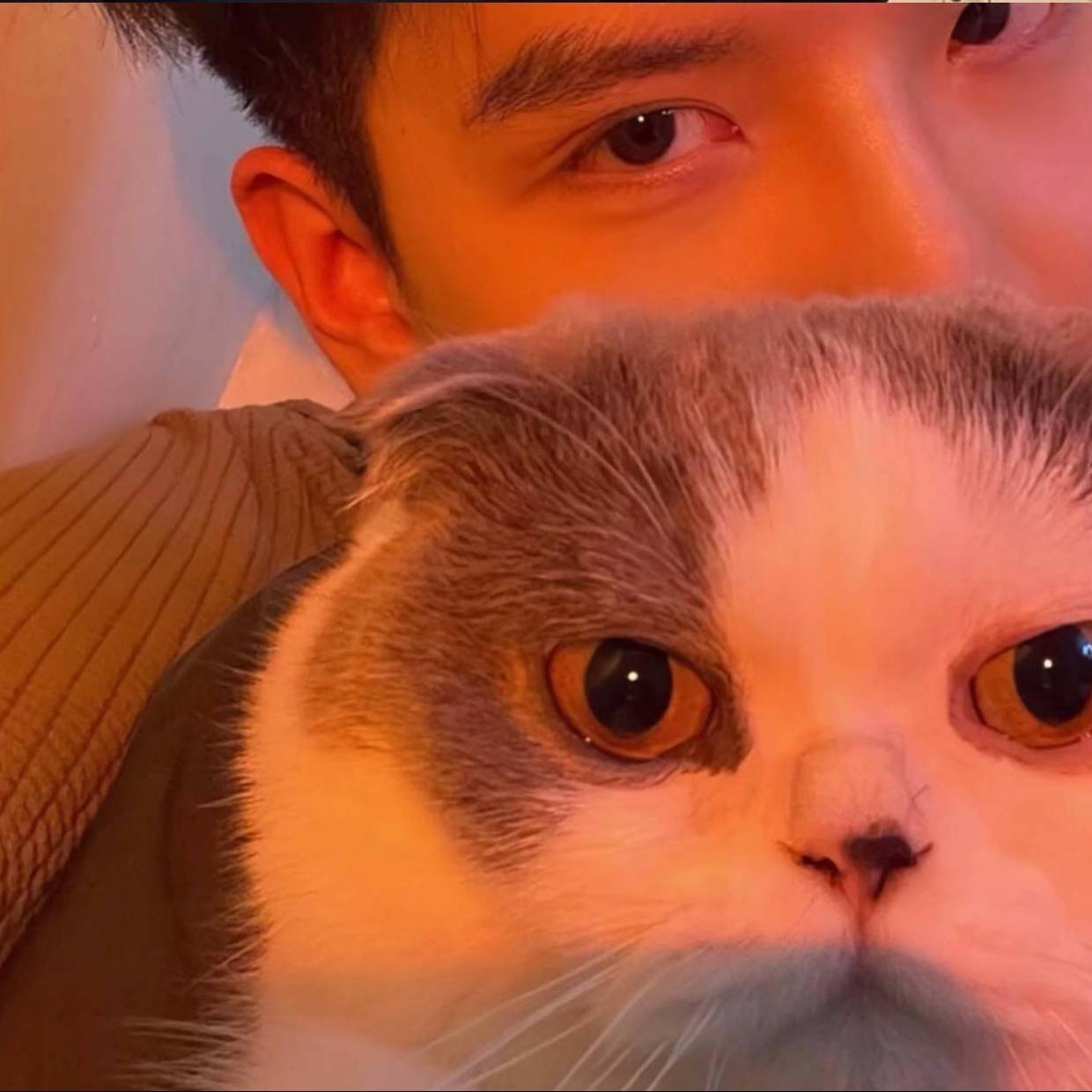 关于玛纳斯县2024年农村饮水工程维修养护项目_监理_施工_招标