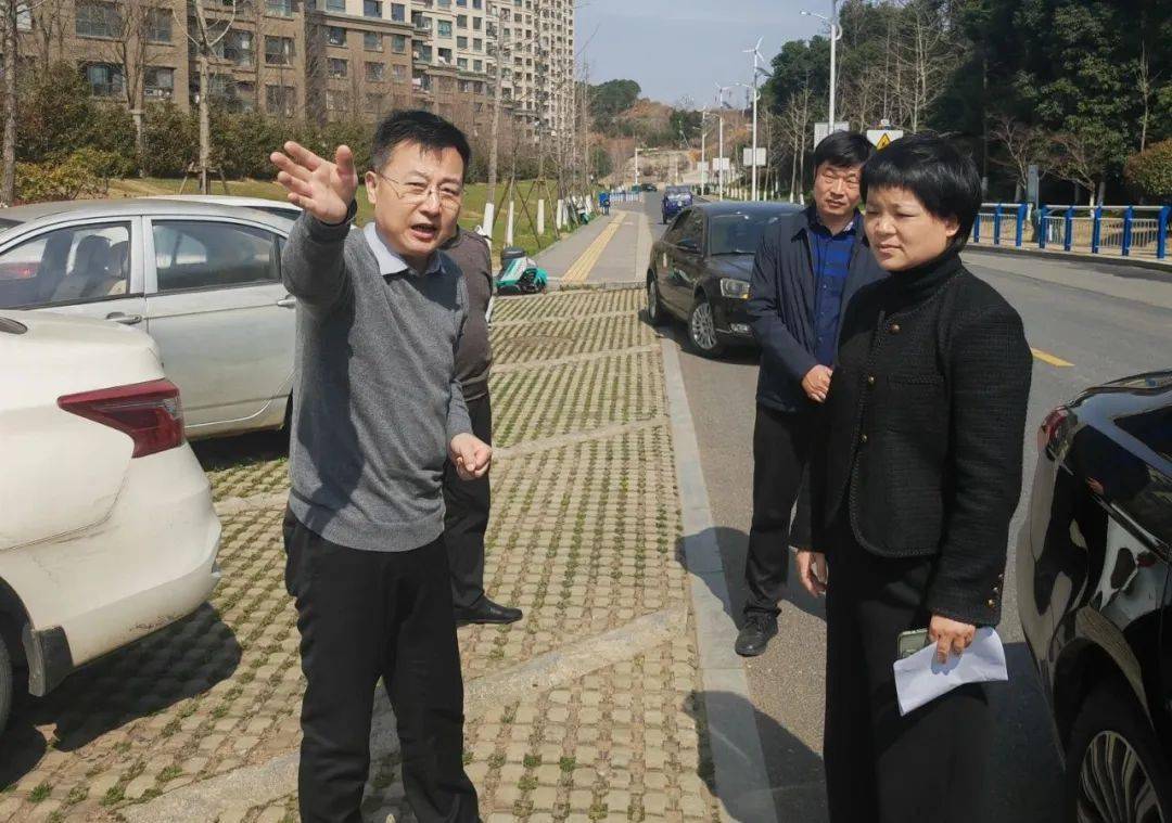 创文督导杨鸿敏到八里湖新区督导全国文明城市创建工作