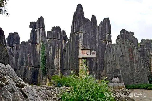 走进石林
