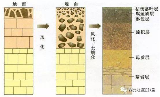 地理辨析春小麦vs冬小麦积温vs无霜期等五组土壤与其