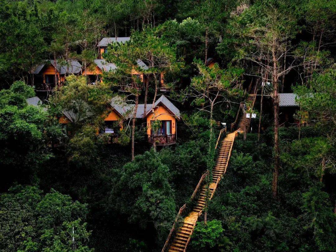 茂名这个旅游景区晋级3a