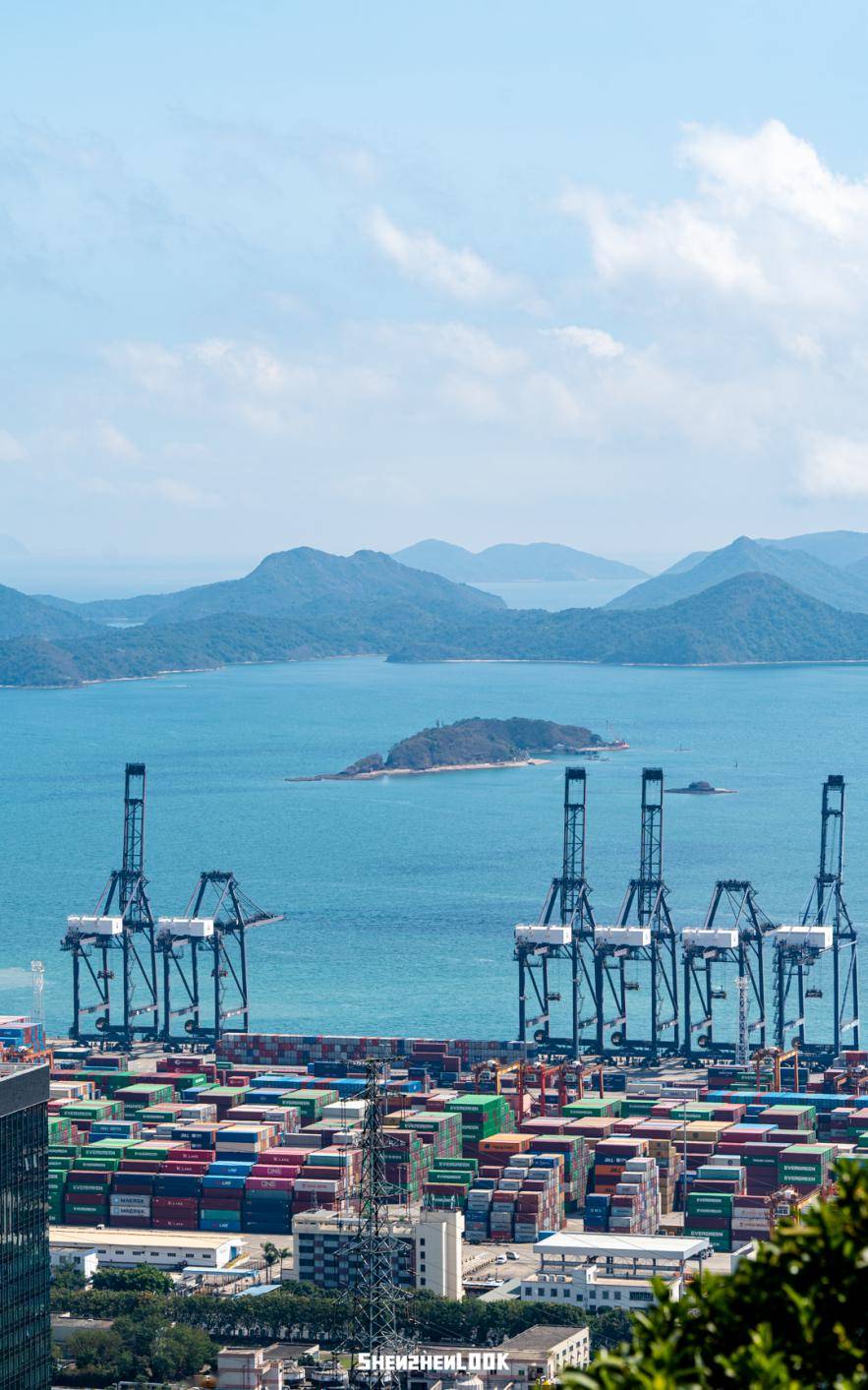 深圳山海新地标,巨型「蒲公英」开放了_梧桐_海山路_公园