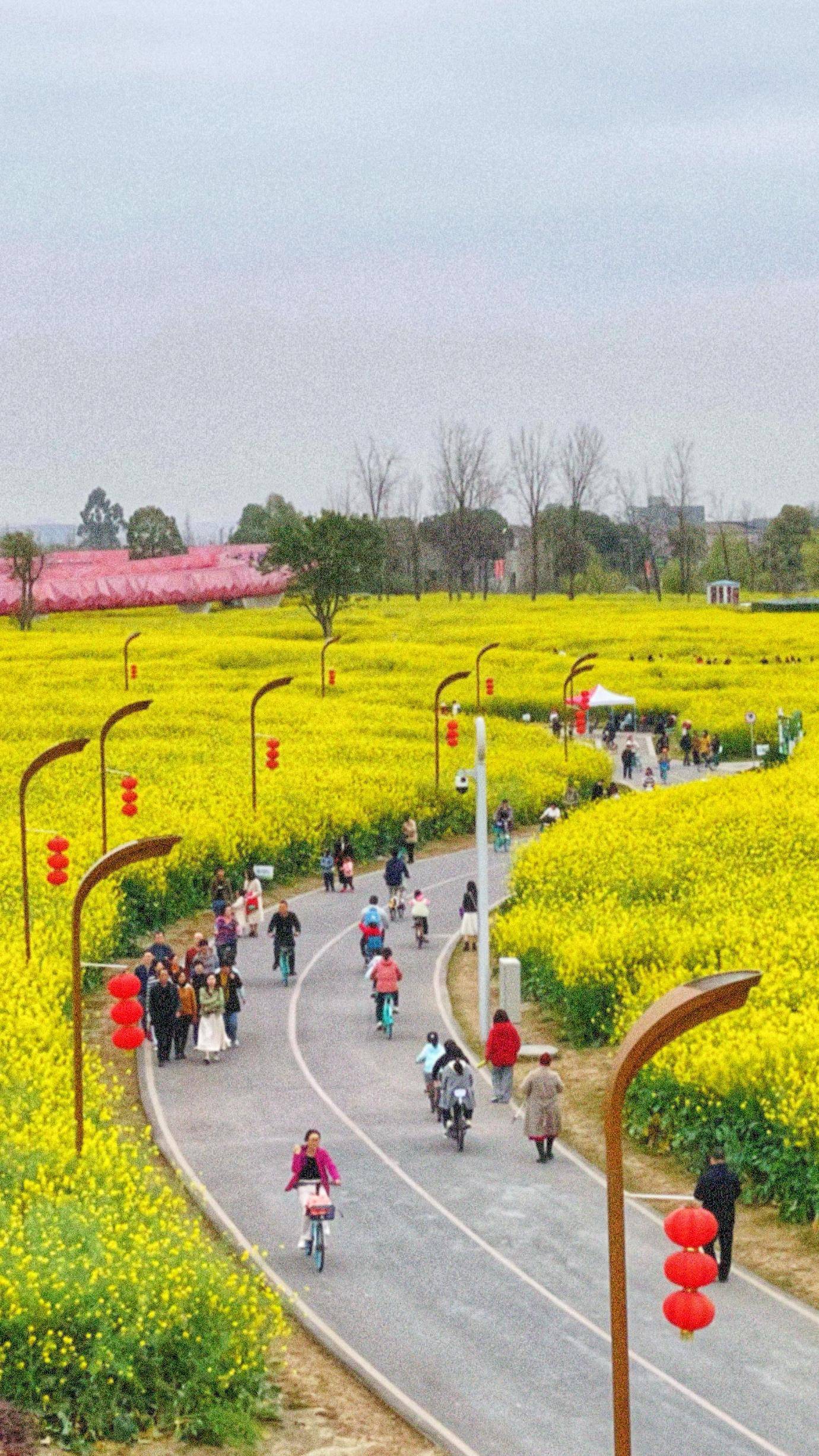 户外踏青赏花正当时 带火骑行,咖啡,旅拍经济