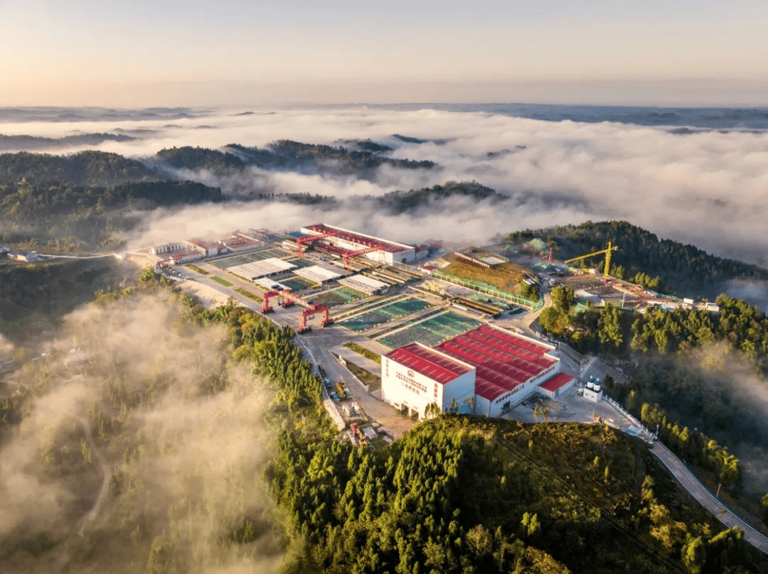 涉及营山的有.