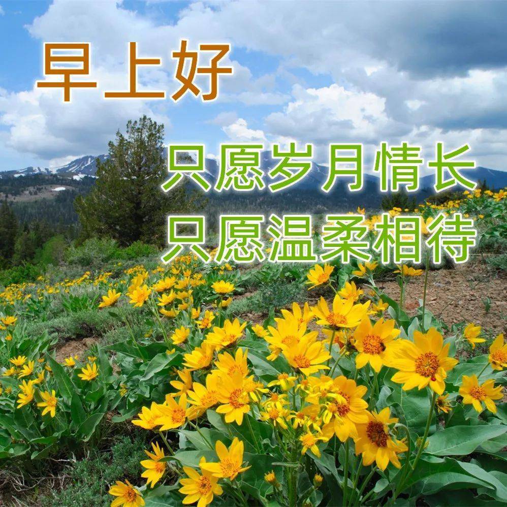 早上好图片漂亮祝福早安短句子问候语精选图文