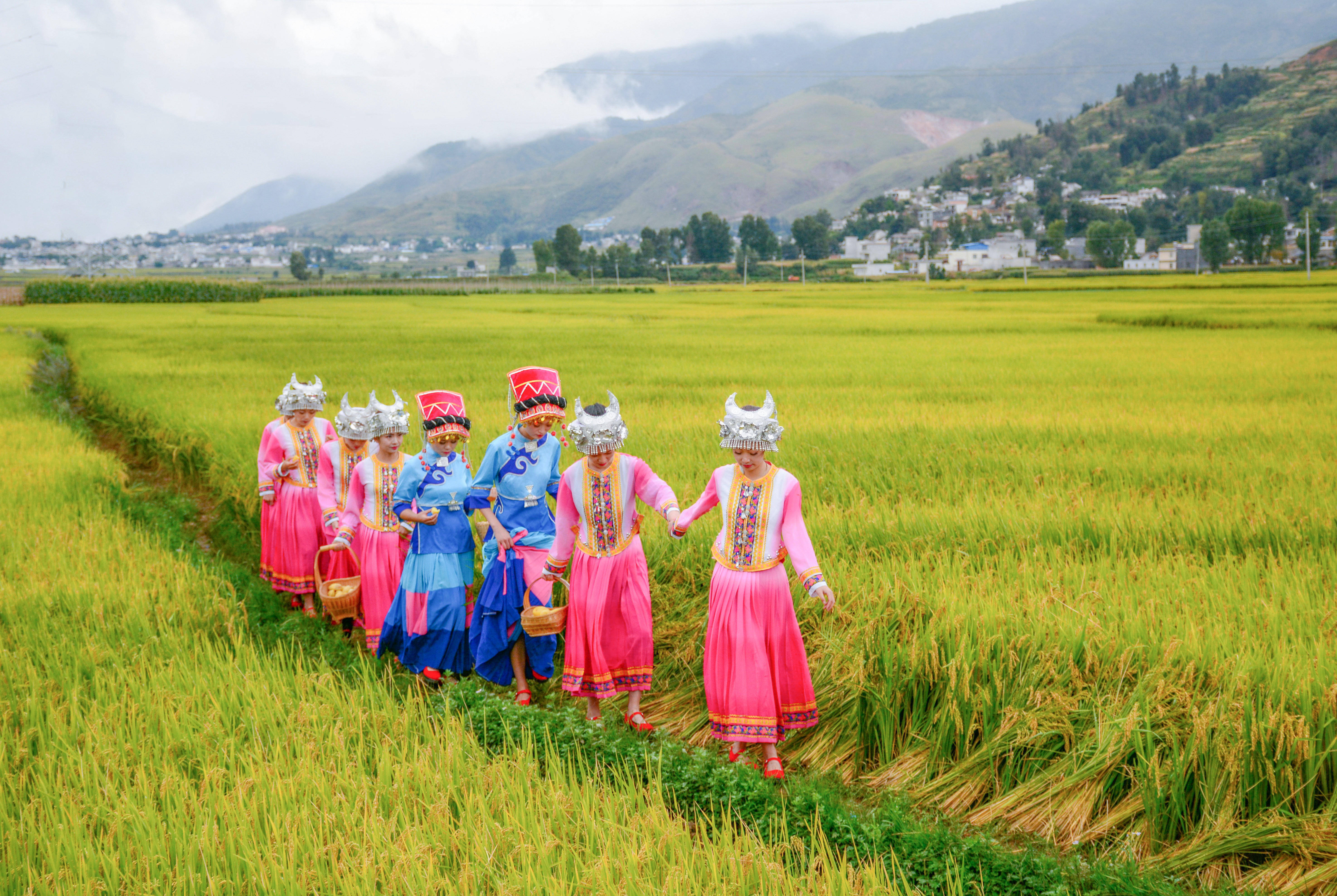 新生向前雾起是仙境雾散是人间万里京运第一站白雾村