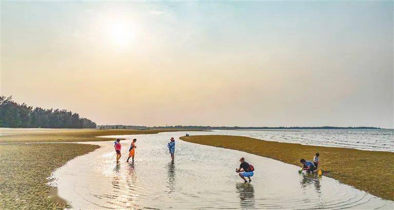解锁儋州新玩法沿着环岛旅游公路畅游山海风光