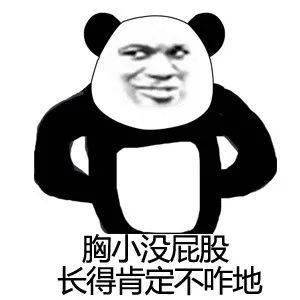 贱贱的骂人熊猫头表情包!