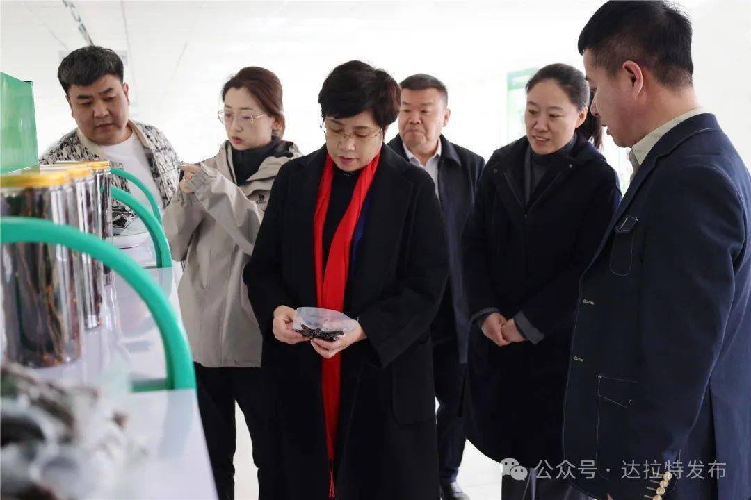 张秀玲深入展旦召苏木开展四下基层现场办公