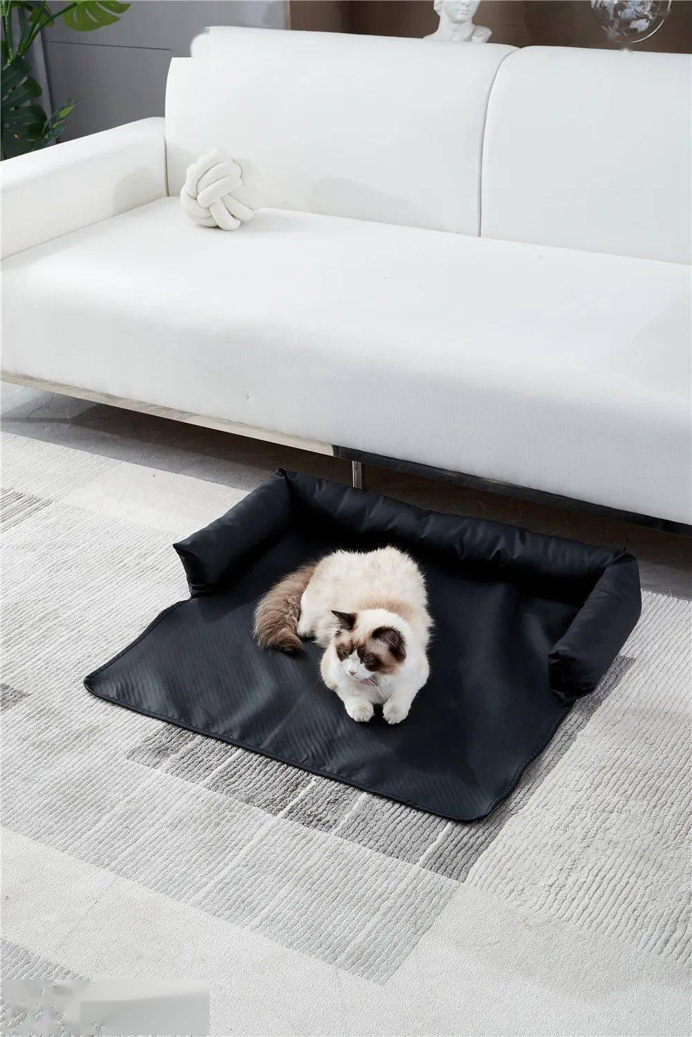 科技布宠物沙发垫,彰显毛孩子的专属座位_fuwmddawh_xejsgb_tk