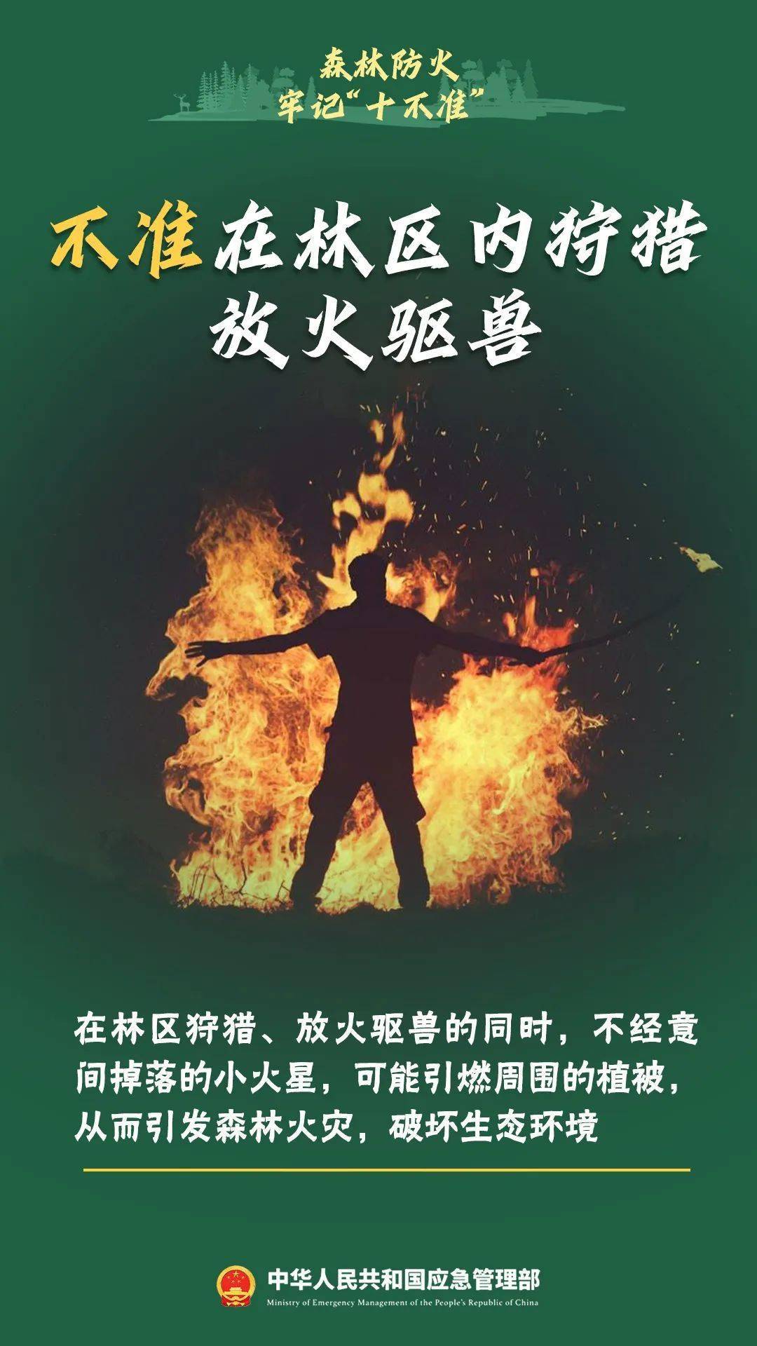 森林草原防火正当时这些要点必须知道