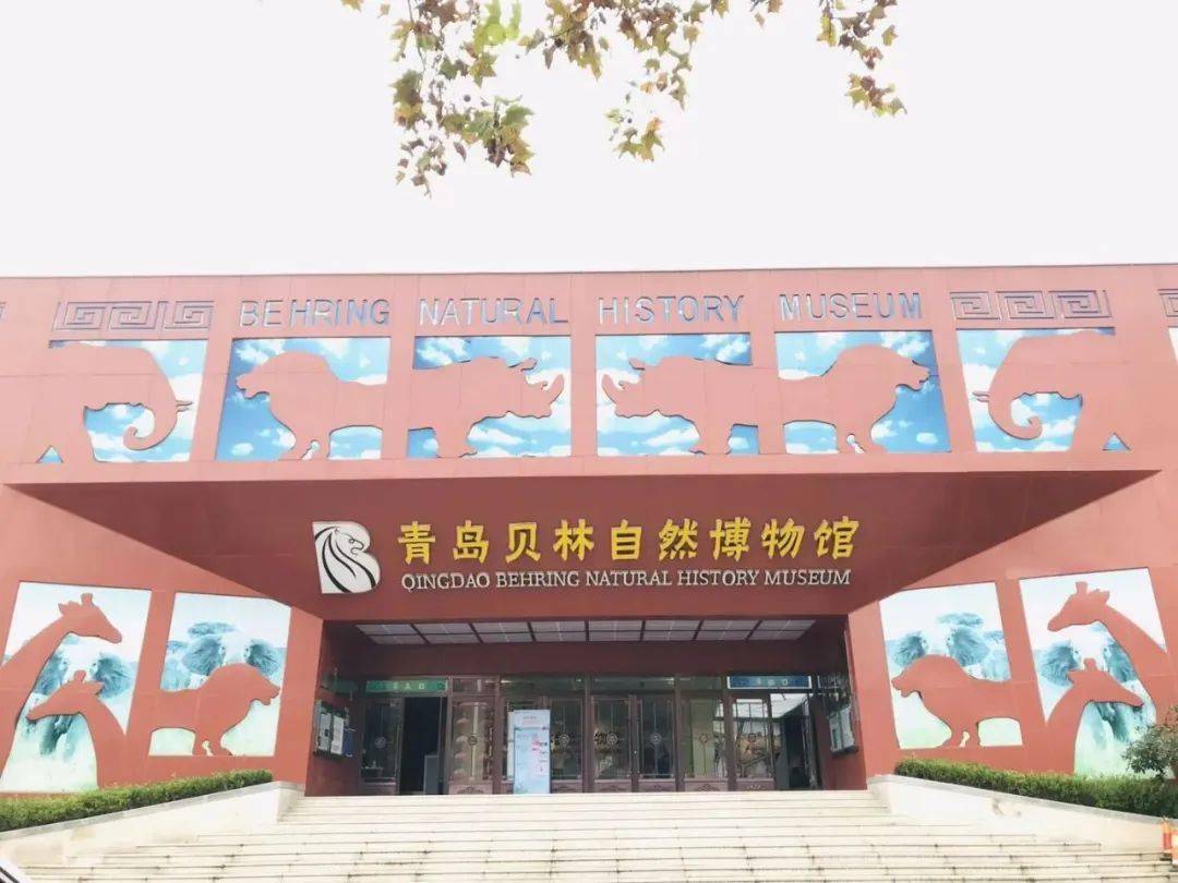 贝林博物馆一日营儿童超级市场火热拍卖会全天馆内游玩全新亲子体验