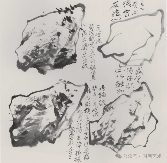 陈玉圃写意牡丹画法课徒画稿