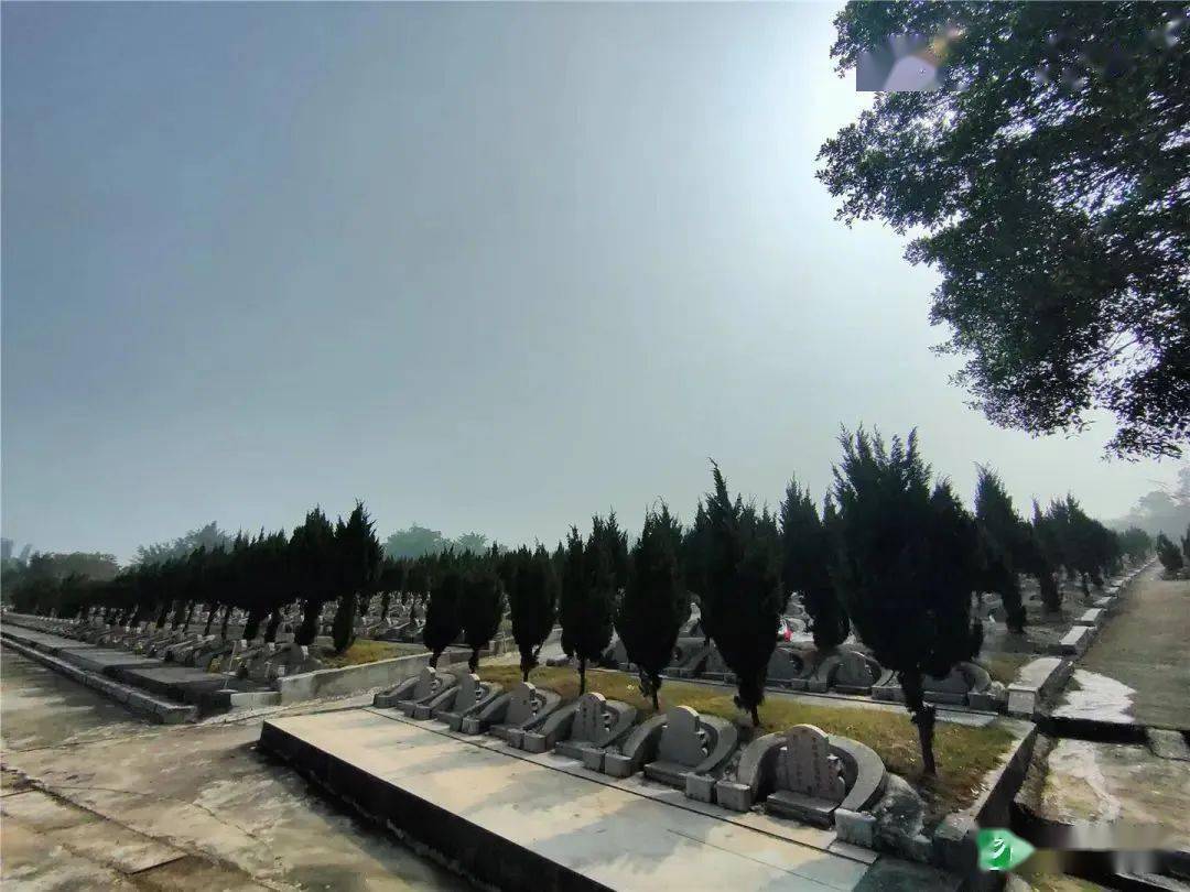 "昨天上午,在汕头中华永久墓园,部分市民早早就前来扫墓.