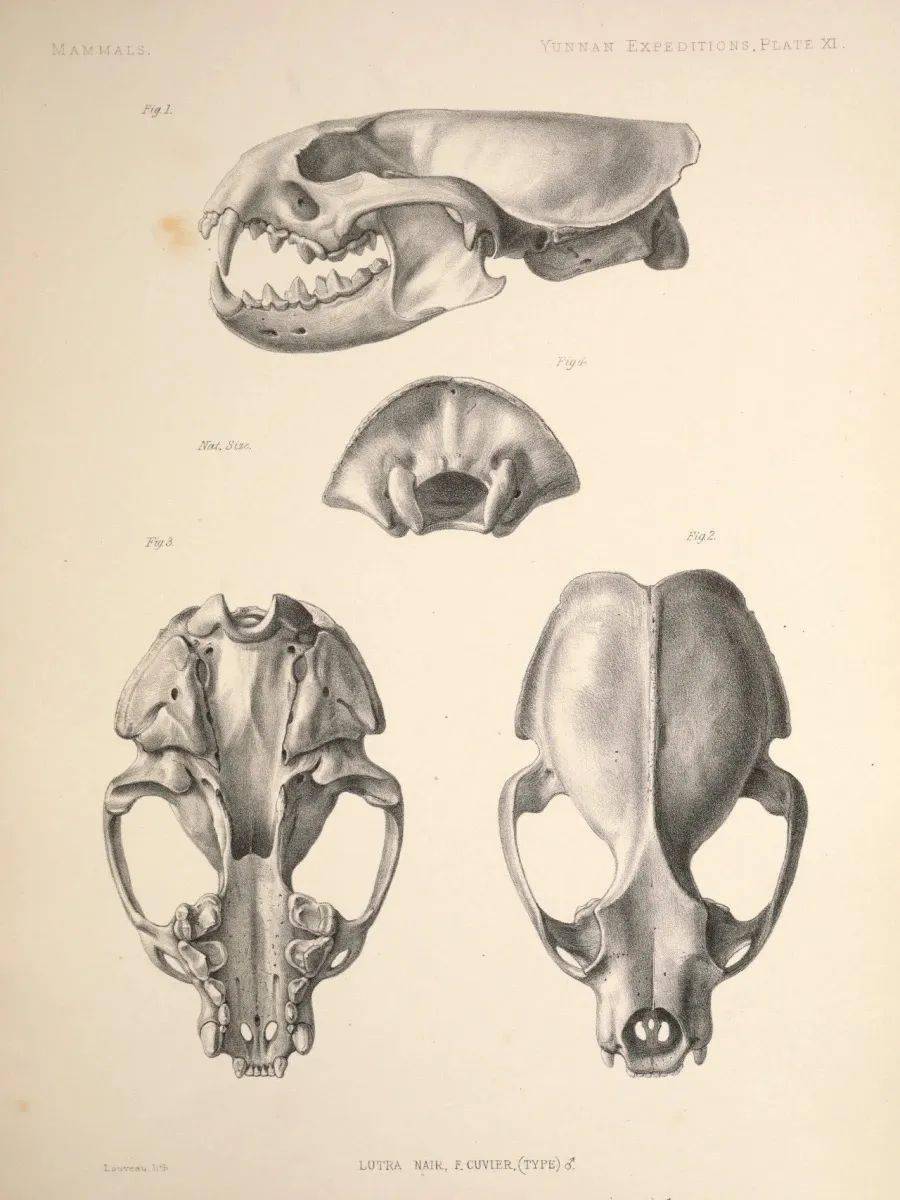 开春书会来了一家漂流纹身室