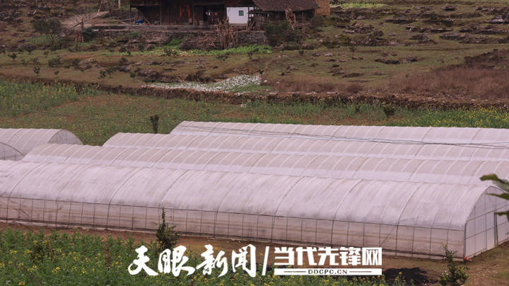 沿河后坪乡和美乡村焕发新活力