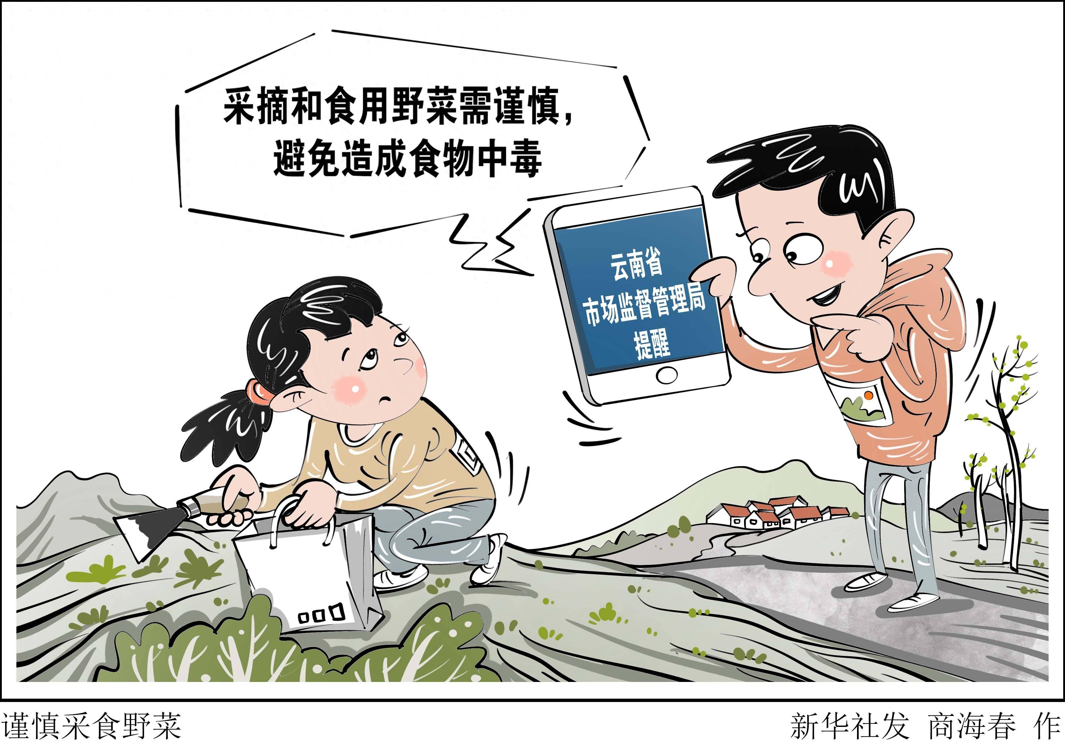 图表漫画谨慎采食野菜