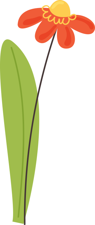 地市动态万安县残联开展2024年度残疾人趣味运动会暨