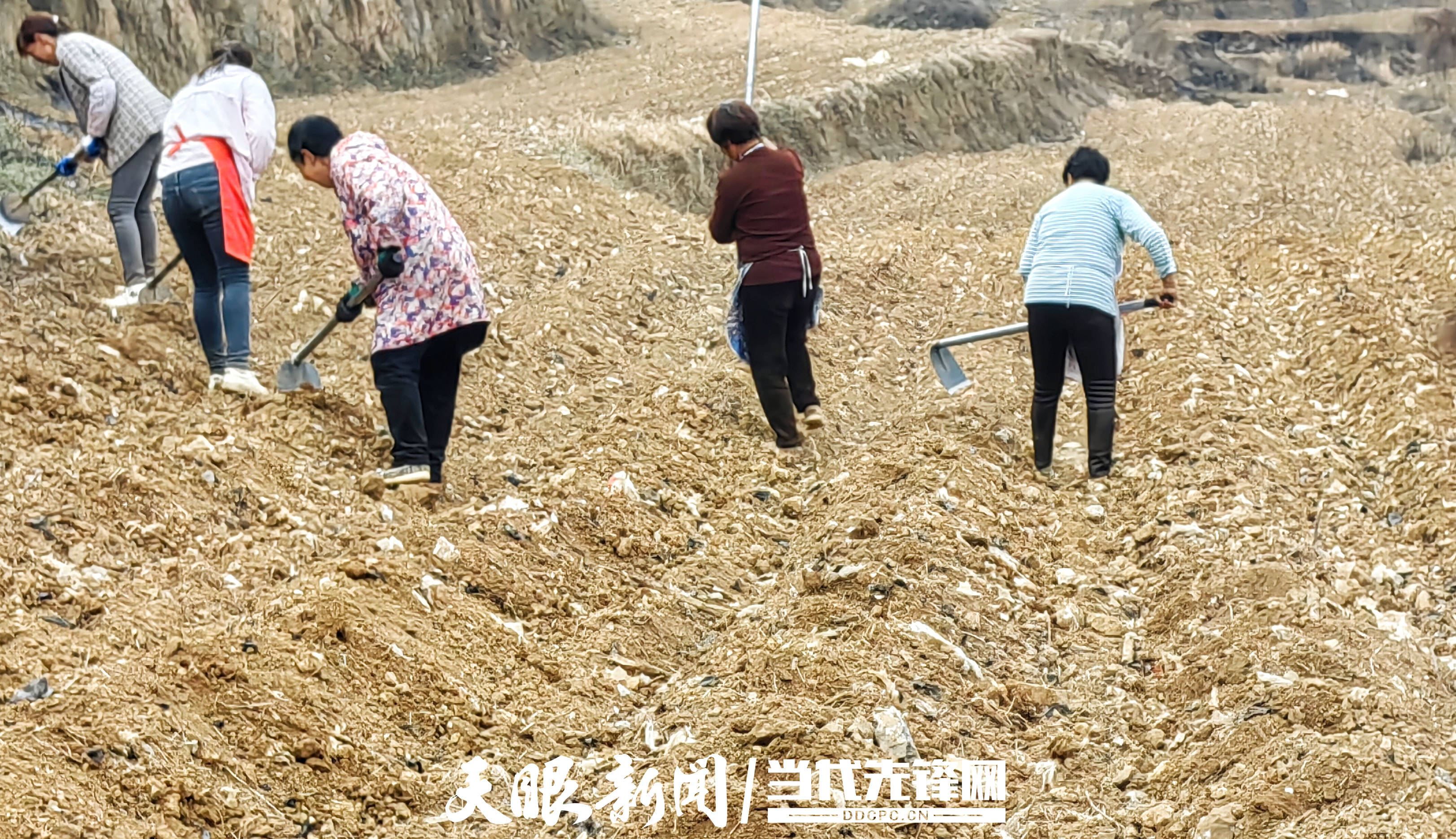 大方核桃乡春耕备耕扎实推进