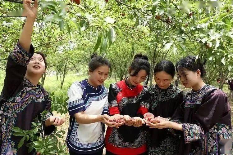 绿博黔南·相约春山 ②赏· 黔南春天_油菜花_长顺县_乡村旅游