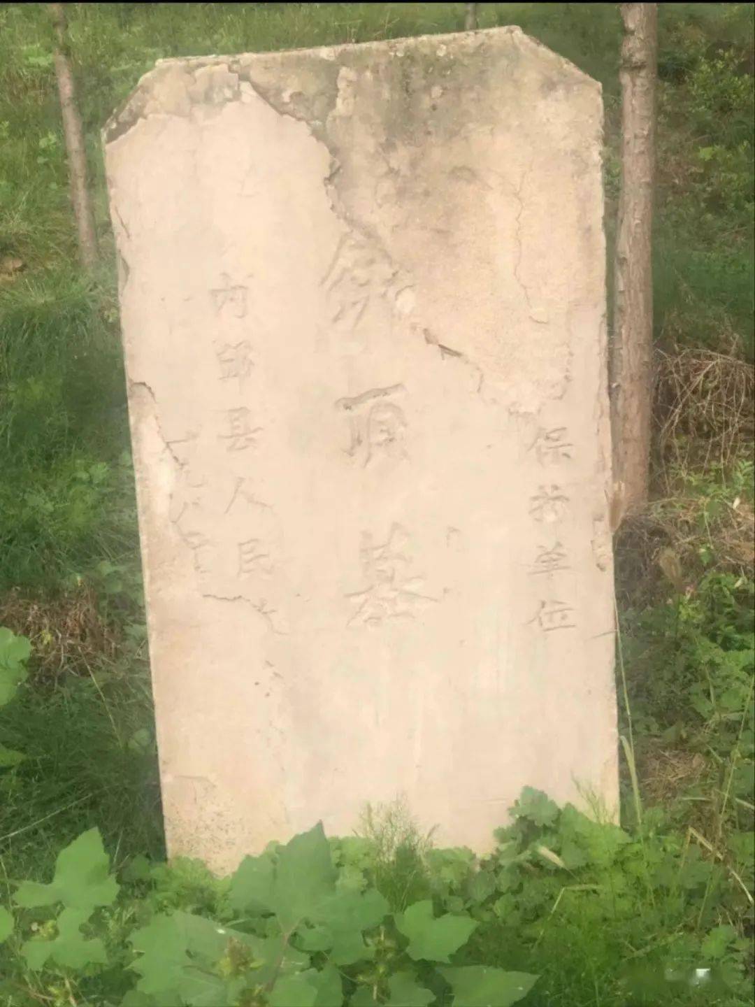 张宾墓俗称铁顶墓,位于内丘县城南6公里的金店镇铁顶墓村内