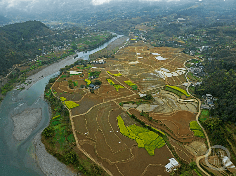 高标准农田美如画