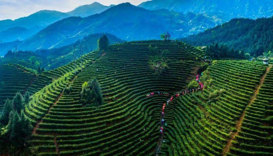 快来江西尝尝春天的味道