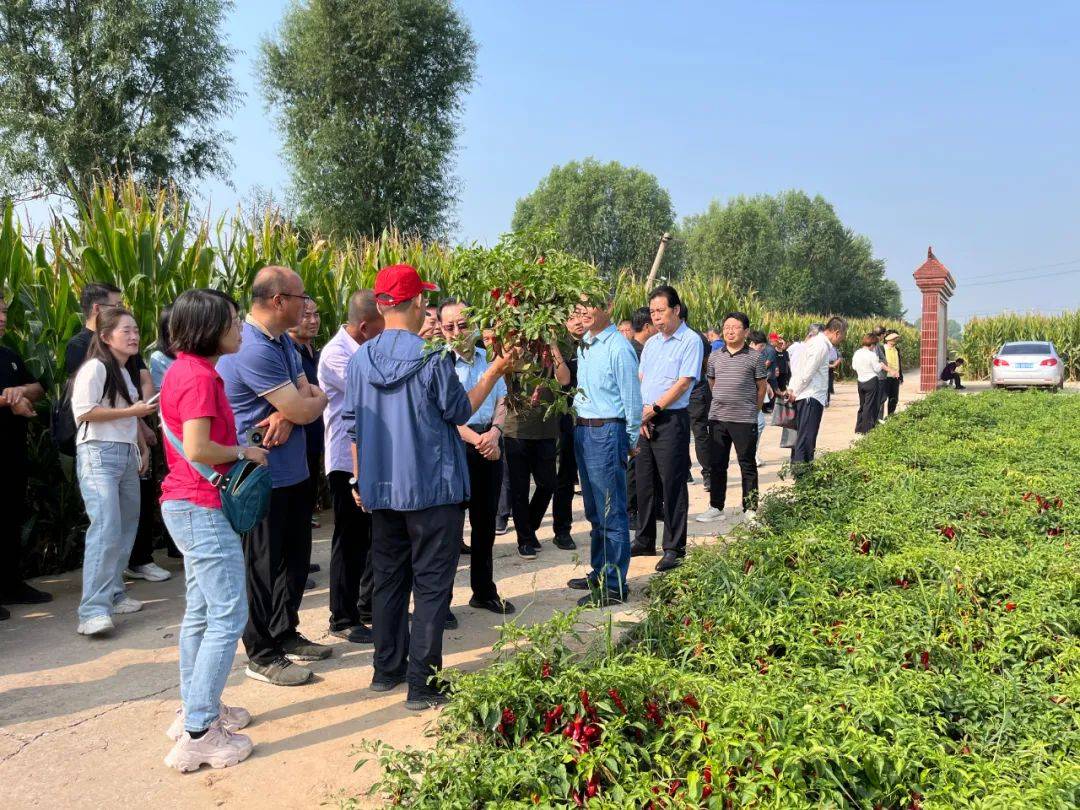 山西农业大学园艺学院,工学院,植保学院等20余名科研人员,组建了太谷