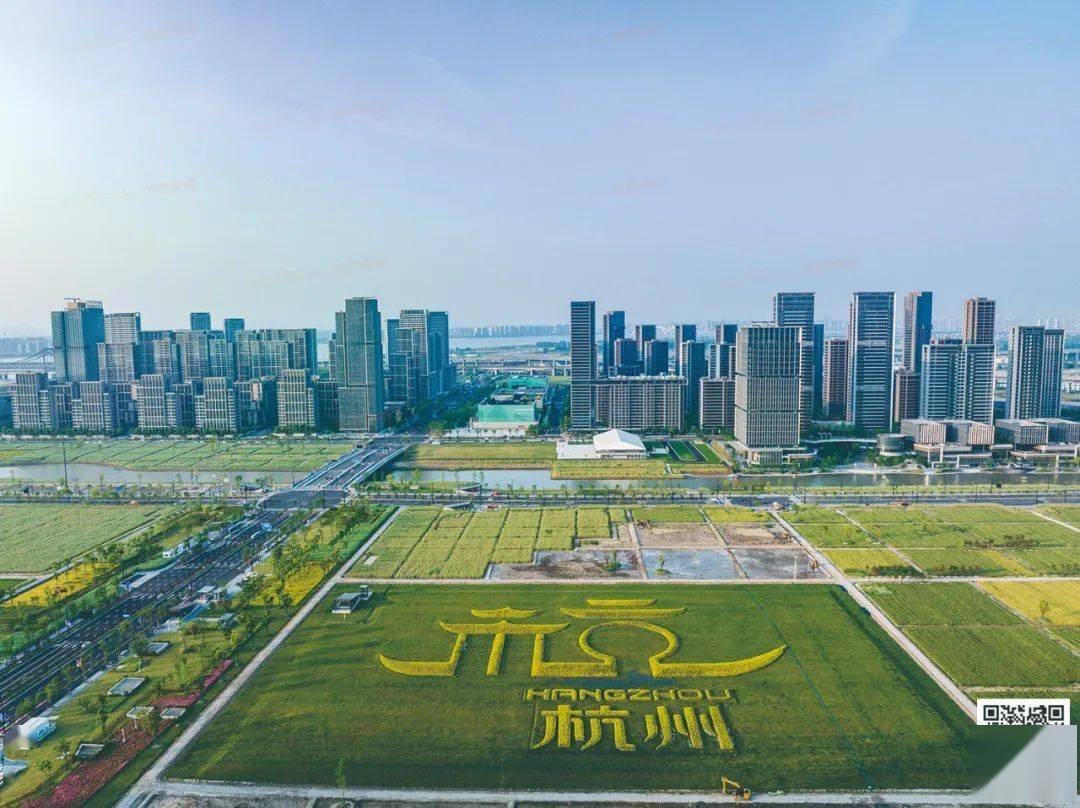 杭州亚运村业主挂牌,10万 / ㎡!网友:接盘会不会站高岗?