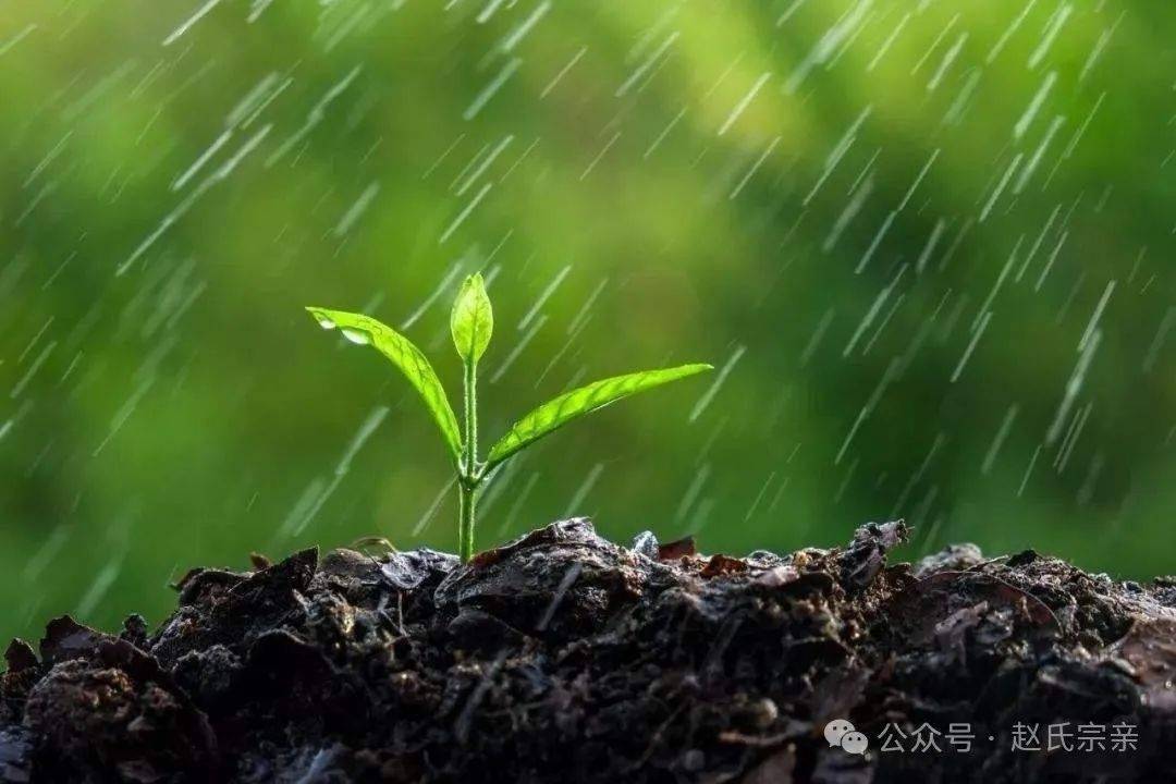 最怕"春分"是晴天,今日春分,晴天有啥预兆,看农谚咋说
