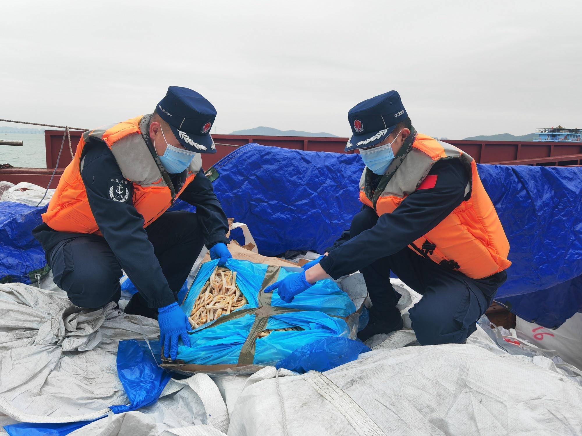 东莞海警缴获75吨走私冻品_警局_广东_海上