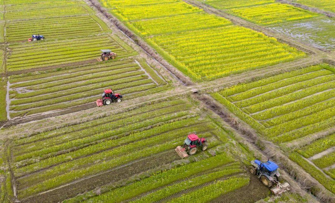 今日春分来看看天工开物里的节气
