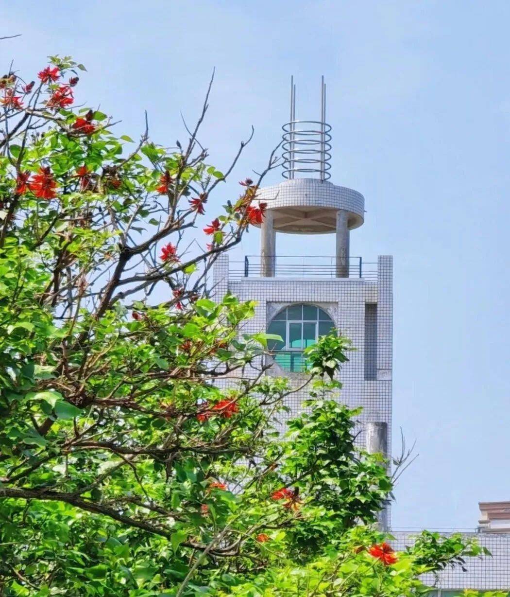 校园_花瓣_座谈会