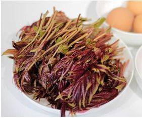 673月20日春分最漂亮的一段话春分春色习俗情趣饮食