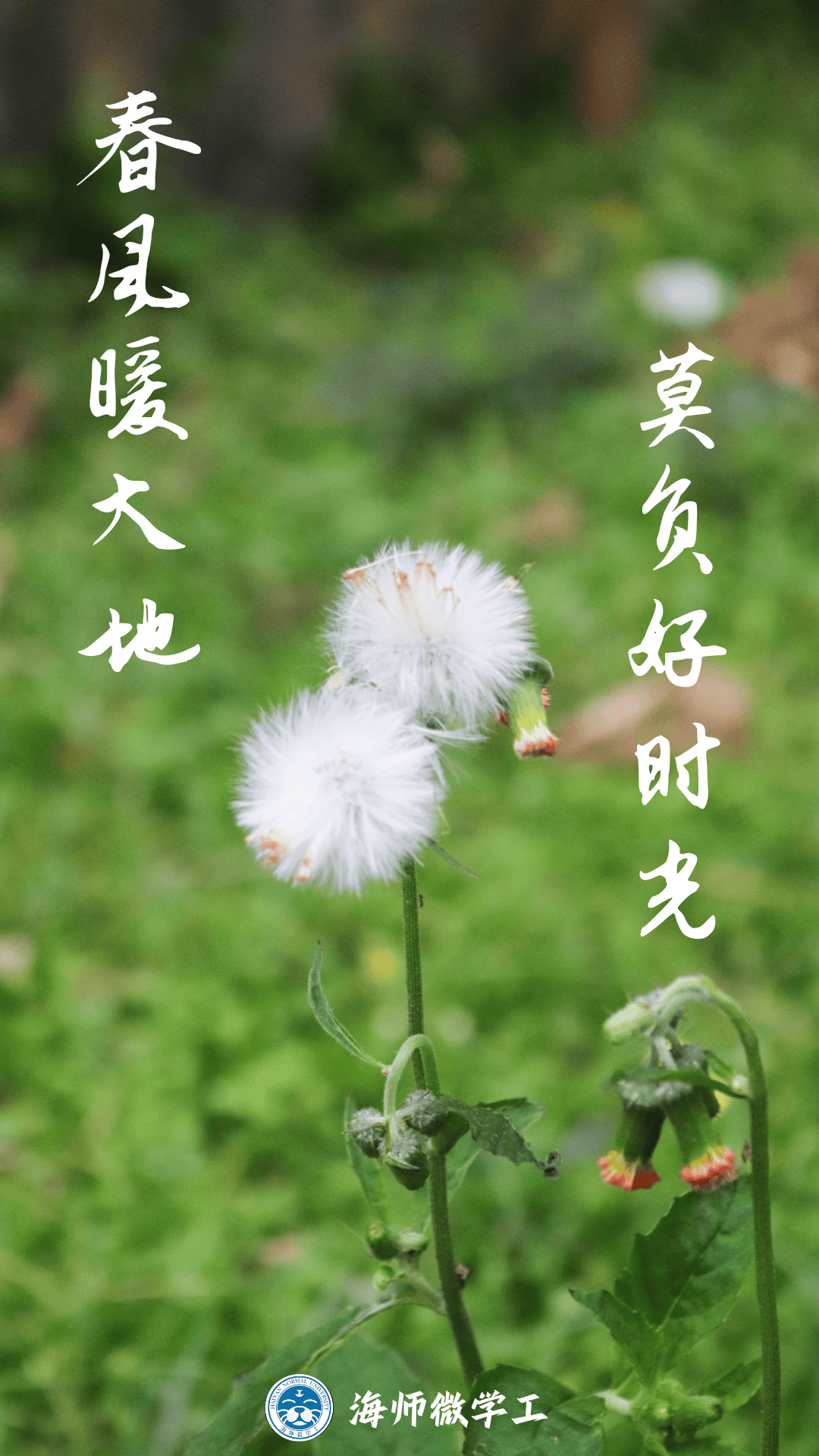 春分静品冬去春来细听窗外鸟鸣一切美好的东西又将会重头再来冬去春来