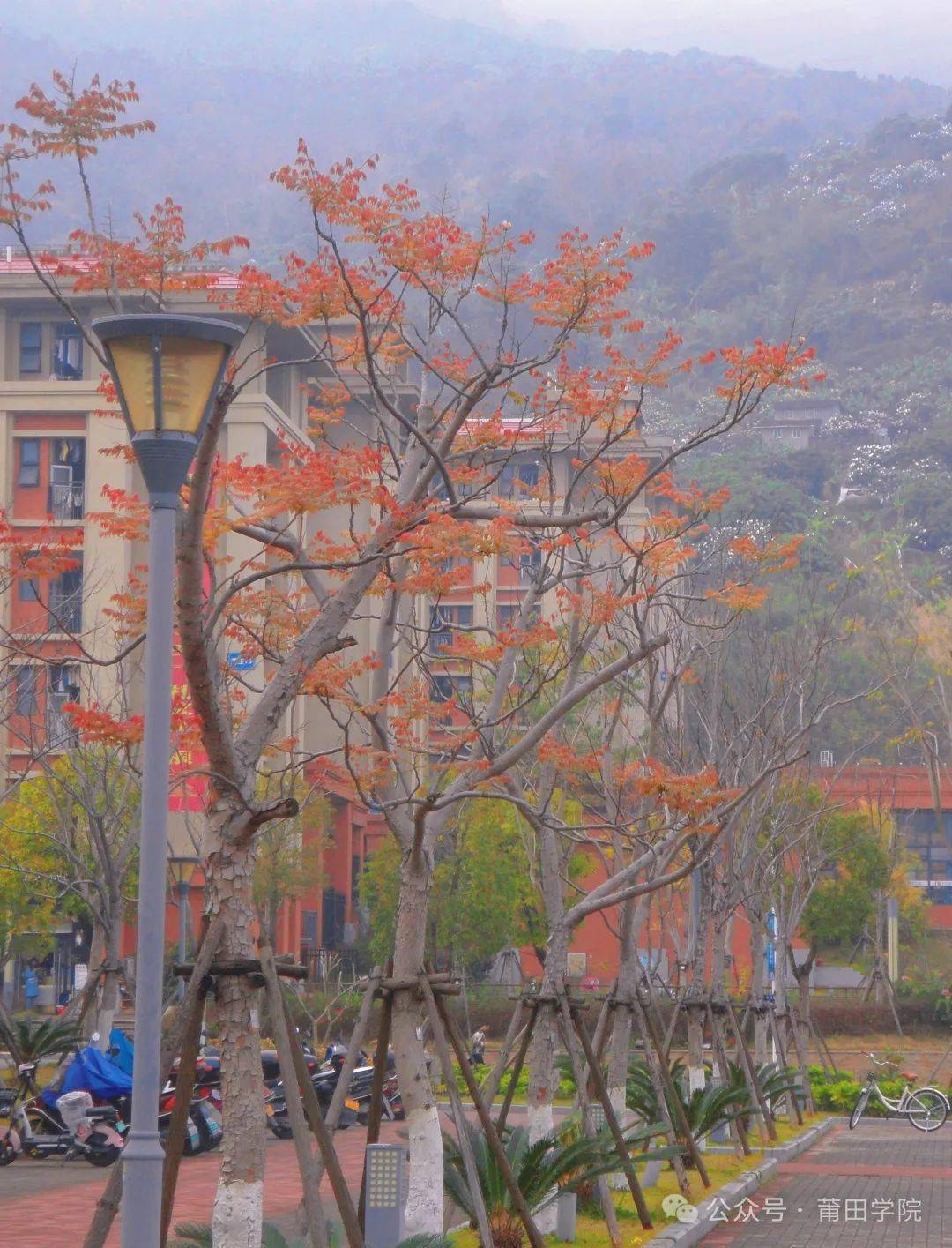 校园_花瓣_座谈会