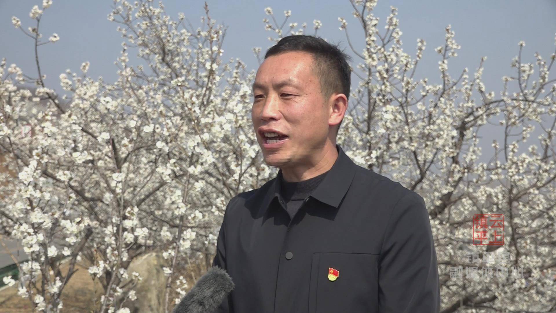 镇平县老庄镇党委副书记刘建光:"现在的万亩樱桃沟曾经是一片荒山