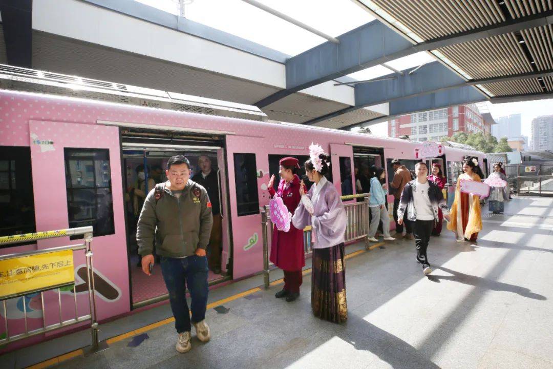 来武汉坐地铁赏樱花