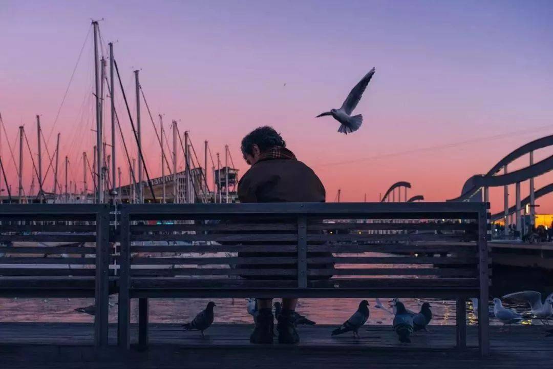 无论是"一览众山小"的豪迈,还是未得心仪风景的失落,都是短暂的,下一