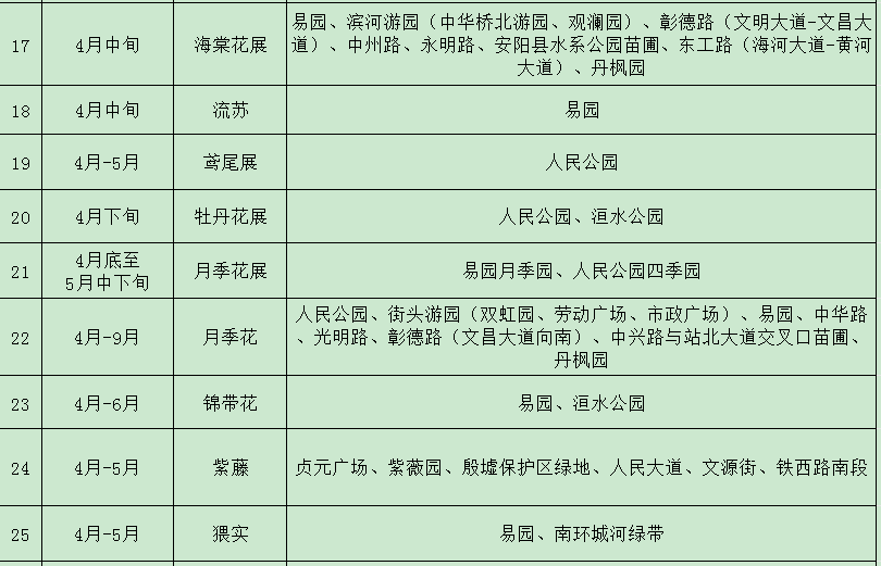 2024安阳城区赏花不完全指南,持续更新ing