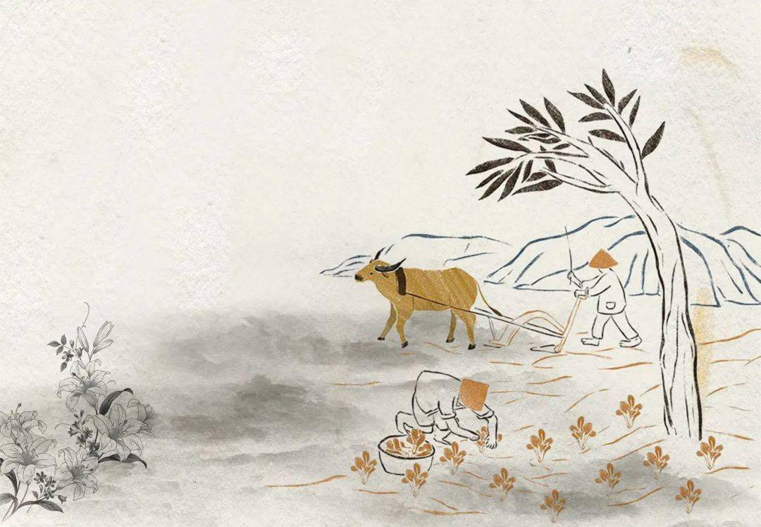 节气丨春分雨脚落声微,柳岸斜风带客归_海棠_春分时节_棣棠