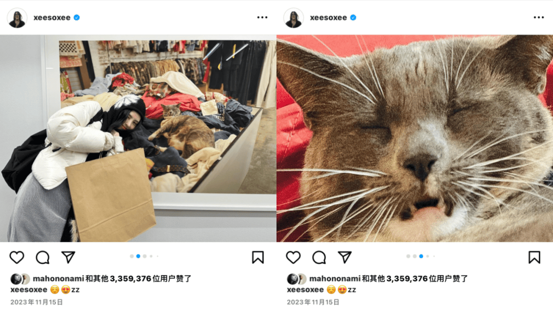 爱上河童的宿命了解但不理解