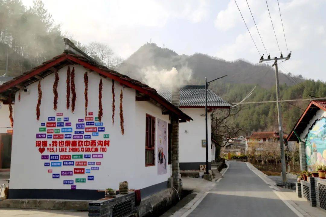 焦萍:当好群众的贴心人,暖心人_西沟村_村民_留坝