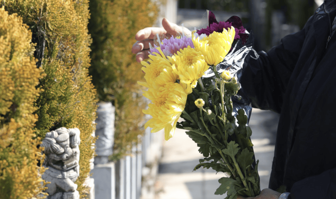 我们的节日·精神的家园·清明 错峰祭扫