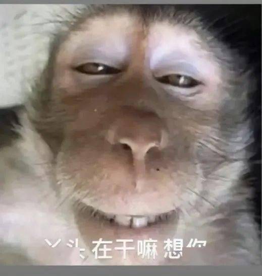 超变态表情包老公小小的也很可爱啊