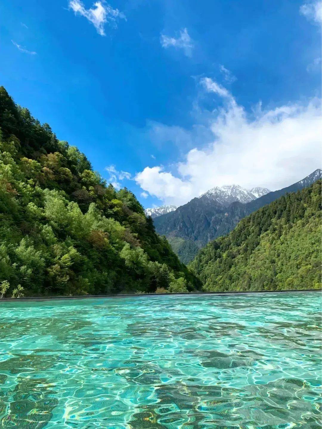 阿坝春色大pk看看你的家乡有多美