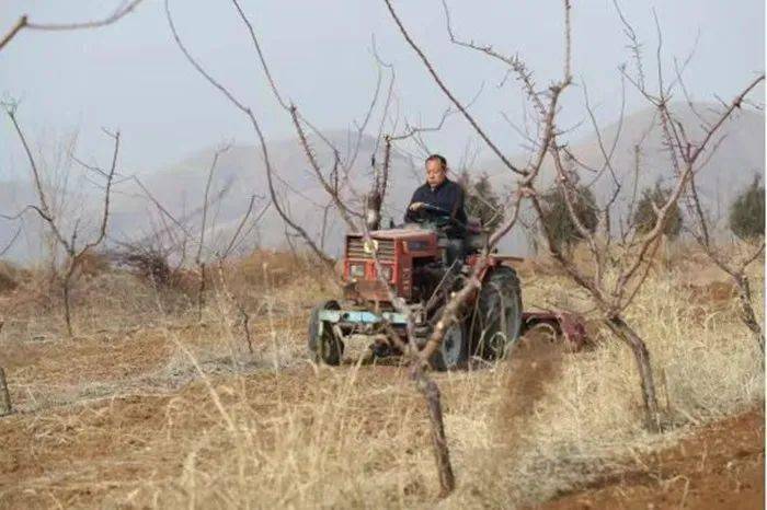 保定徐水备战春耕拓宽山区林果业致富路