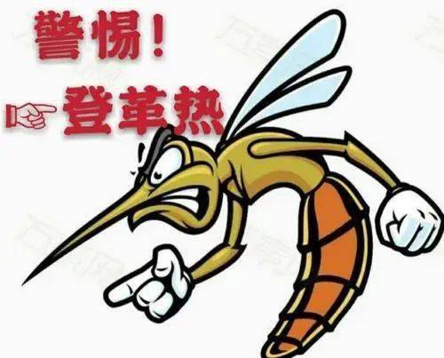 去东南亚旅游小心登革热